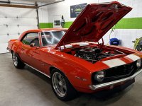 IMG_7484 copy.jpg