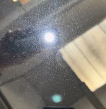 IMG_3727.jpeg