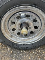 IMG_1464.jpeg