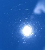 IMG_0881.jpeg