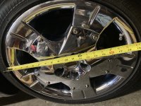 IMG_4729.jpeg