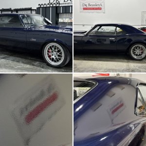 1968 Camaro Dry Sand