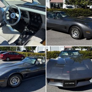1981 Corvette Original Basecoat/ClearCoat Paint