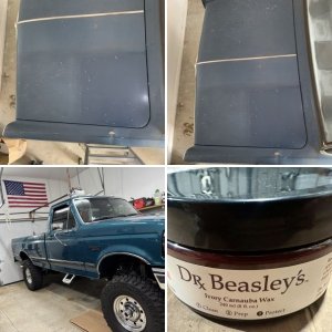 Forum Members Pics