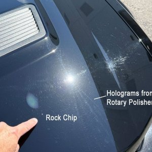 2007-Shelby002.jpg