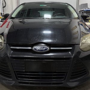 Media '2013-Focus-Rock-Chips001.jpg' in album 'Forum Members Pics'