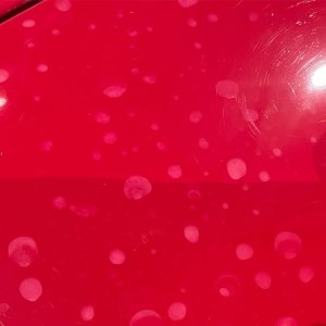 Water-Spots-in-Antique-Single-Stage-Paintc.jpg