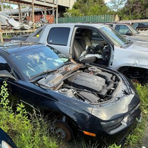 Camaro-Hood004.JPG