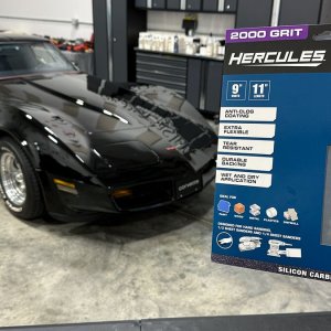 1981CorvetteSanding020.jpg