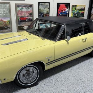 Cars-Detailed-by-Mike-Phillips002.jpg