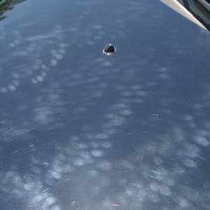 FingerMarks5.jpg