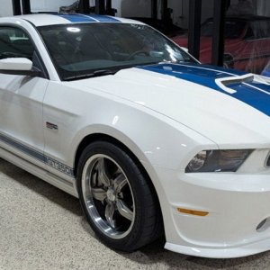 White-Shelby001.JPG