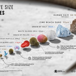 RelativeSizeofParticles-Infographic-1200px_v8.jpg