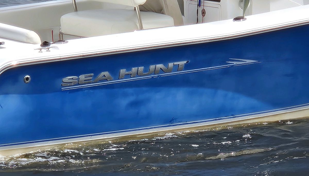 24SeaHuntBrian006.jpg