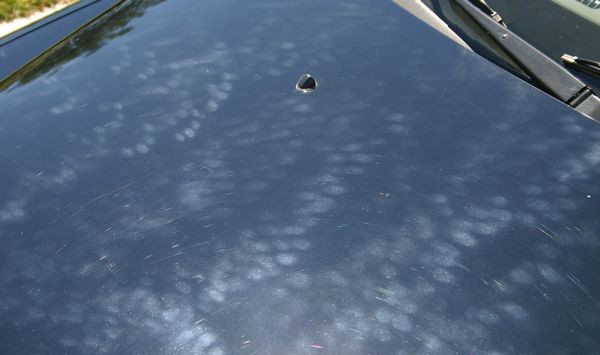 FingerMarks5.jpg