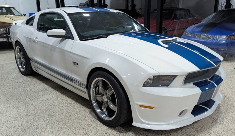 White-Shelby001.JPG